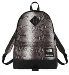 新品 】 SUPREME x THE NORTH FACE DAY PACK - メルカリ