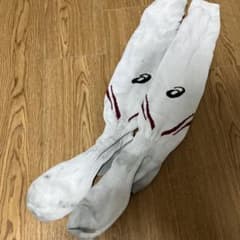 早稲田大学　サッカー　ソックスのサムネイル