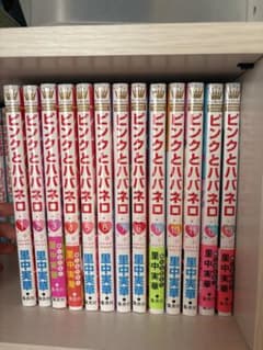 ピンクとババネロ 全13巻セット 里中満智子のサムネイル