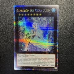遊戯王 六花聖ティアドロップ 泰亜 英語 25thシークレットレア - メルカリ