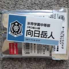 ネームバッチコレクション 向日岳人のサムネイル