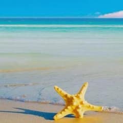 はなっぺ様、専用♡のサムネイル