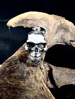 CRAZY PIG クレイジーピッグLarge Skull Hinged - メルカリ