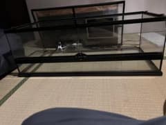 早い者勝ち　美品グラステラリウム9030 セット暖突紫外線ライトのサムネイル