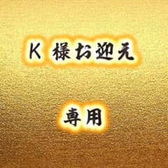 蛇窪神社 白蛇種銭 7月10日 一粒万倍日授与 金運 財運 パンフ2枚付のサムネイル