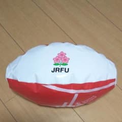 ラグビービーチボールのサムネイル