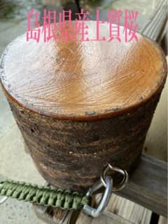 桜　薪割り台　バトニング台のサムネイル