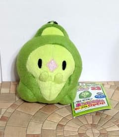 더블란 MY 포켓몬 컬렉션 봉제인형 포켓몬스터 베스트 위시