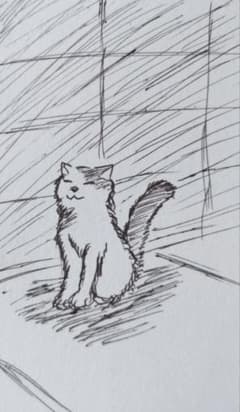 手描きイラスト 猫 アナログイラスト - メルカリ