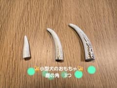 小型犬のおもちゃ　[天然素材]鹿の角３本のサムネイル