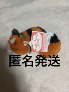 도쿄 디즈니 리조트 봉제 인형 모치 베이 맥스 플래피 플래시