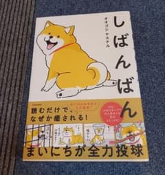 しばんばんのサムネイル