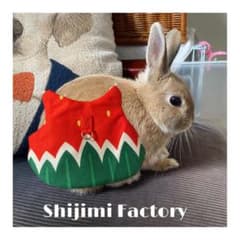 うさぎ用ハーネス　スイカのサムネイル