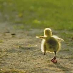 ランラン様専用ページのサムネイル