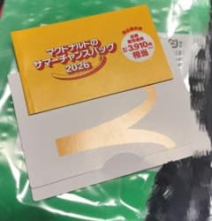 マクドナルド サマーチャンスバッグ 2026 商品無料券　おまけ付きのサムネイル