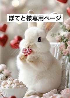 ぽてと様専用ページのサムネイル