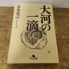 大河の一滴 文庫本のサムネイル
