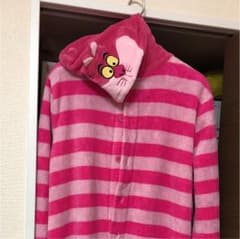 【値下げしました！】チシャ猫 着ぐるみのサムネイル