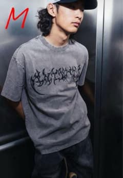 antimid グレー Tシャツ Mサイズのサムネイル