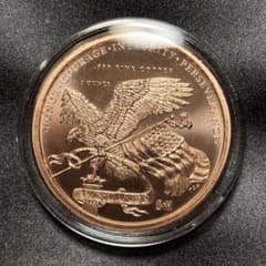 銅貨 1オンス アメリカ 米国 ドナルド トランプ 純銅 コインケース付