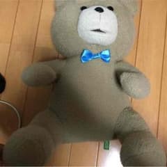 TEDのサムネイル
