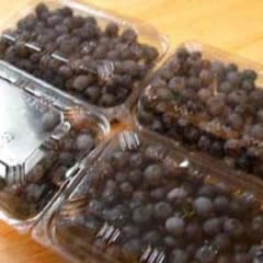 もこ様専用のサムネイル