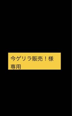 今ゲリラ販売！様専用のサムネイル