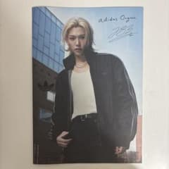 Felix フィリックス アディダス 特典 ブックレット フォトブック韓国