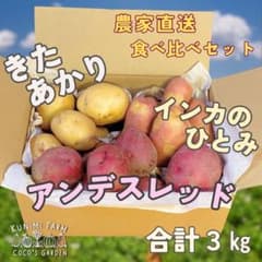 きたあかり、アンデスレッド、インカのひとみ　食べ比べセット じゃがいも 3kgのサムネイル