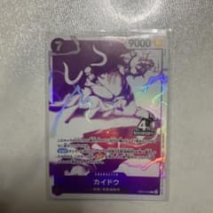 カイドウ SR ST04-003のサムネイル