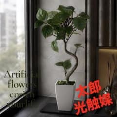 光触媒 人工観葉植物 ウォールグリーン フェイクグリーン ガジュマル40