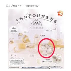 早い者勝ち！うちの子のけだまだま 種類:サバトラのサムネイル