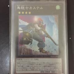 鳥銃士カステルSR+オマケエクシーズ4枚のサムネイル