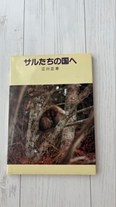 写真絵本 サルたちの国へ 江川正幸 新日本出版社のサムネイル