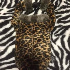 ペットボトルカバー ヒョウ柄のサムネイル