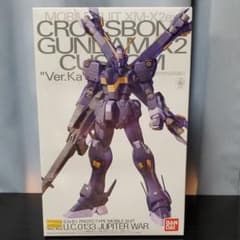 MG 1/100 クロスボーンガンダムX2改 Ver.Kaのサムネイル