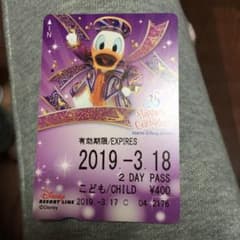 値下げ！使用済み ディズニーリゾートラインのサムネイル