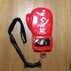 湘南乃風チケットケースのサムネイル