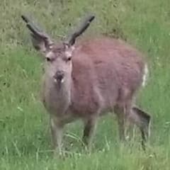 遊戯王 あかさたなはまやらわのサムネイル
