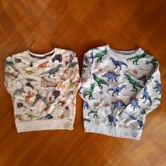 キキララさま専用H&M エイチアンドエム トレーナー セット 110 恐竜 動物のサムネイル