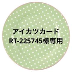 RT-225745様専用のサムネイル