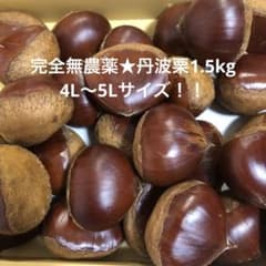【丹波栗1.5kg】4L〜5Lサイズのサムネイル