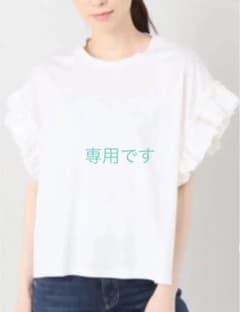 【専用です】ジャーナルスタンダード　クリアコットン　フリル　Tシャツのサムネイル