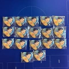 안스타 후시미 궁현 취하는 파카 캔 배지 17개