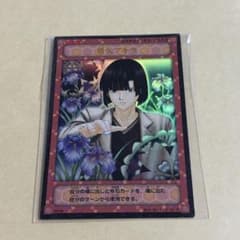 塔矢アキラ ヒカルの碁 TCG P2-03 - メルカリ