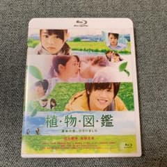 植物図鑑 運命の恋,ひろいました　Blu-rayのサムネイル