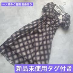 シアーチェック配色ラインワンピースのサムネイル