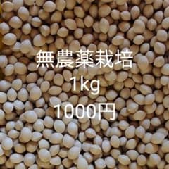 ぎんなん 無農薬栽培 1kgのサムネイル