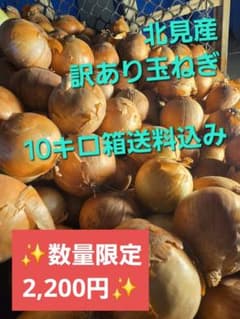 北海道北見産 訳あり玉ねぎ 10kg 箱込みのサムネイル