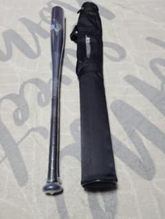 ミズノ 軟式用 バット ビヨンドマックスレガシー 85cm 1CJBR19185